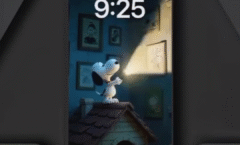 credit cards without credit check