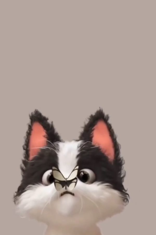 Best Investments in August 2025